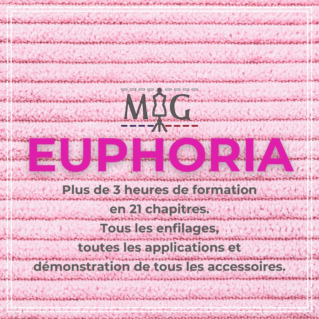 Formation Vidéo Baby Lock Euphoria Machine à coudre Baby Lock Euphoria avec un écran montrant la formation vidéo